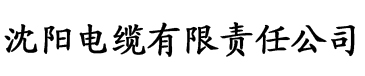 国产爱豆md传媒视频电缆厂logo